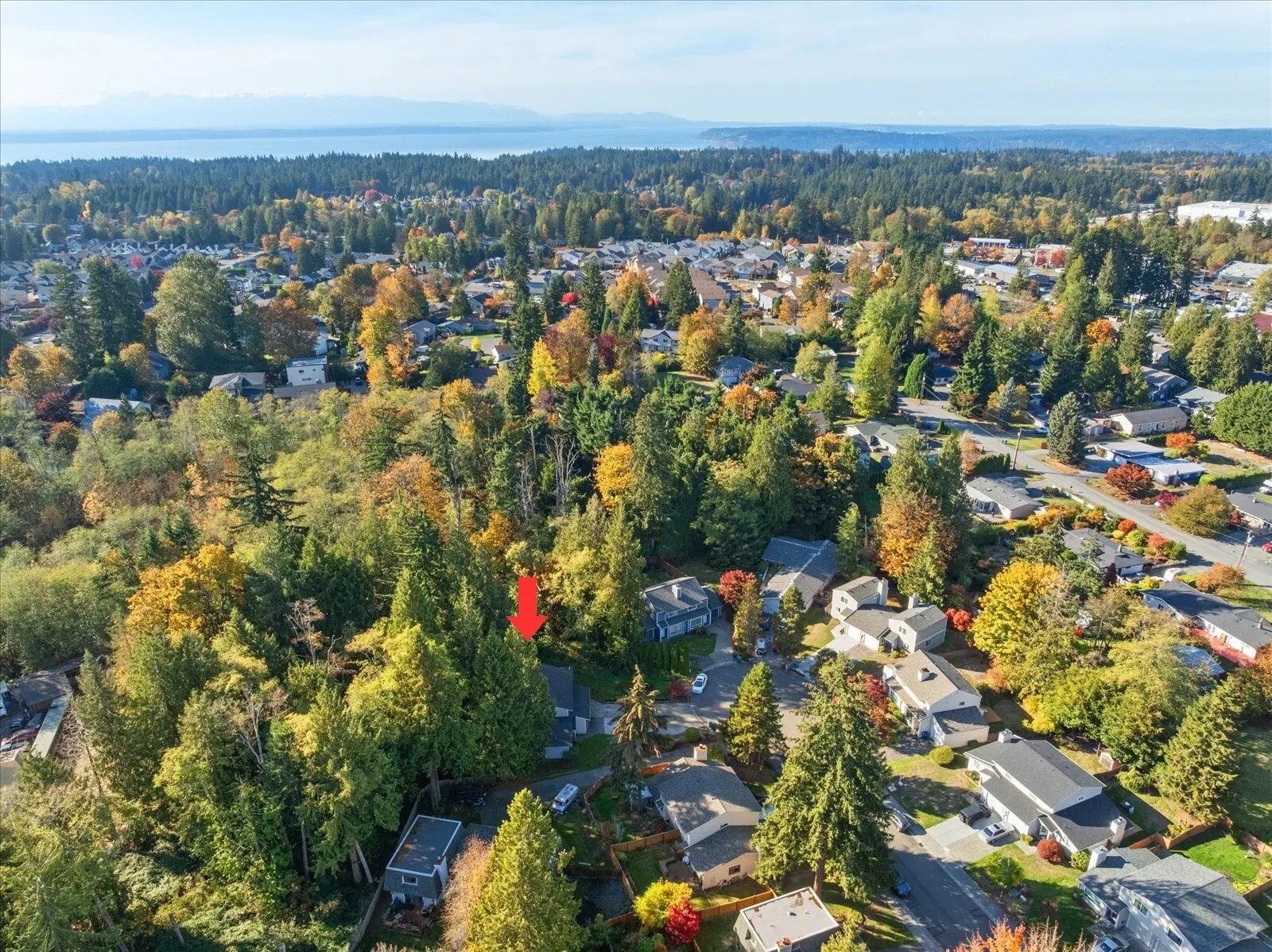 3410 134th Place SW #B, Lynnwood, WA 98087-1667