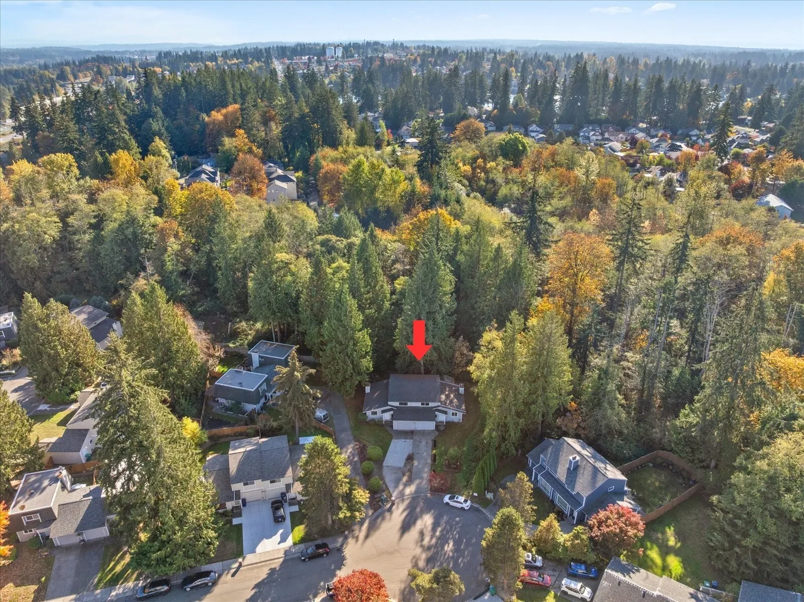 3410 134th Place SW #B, Lynnwood, WA 98087-1667