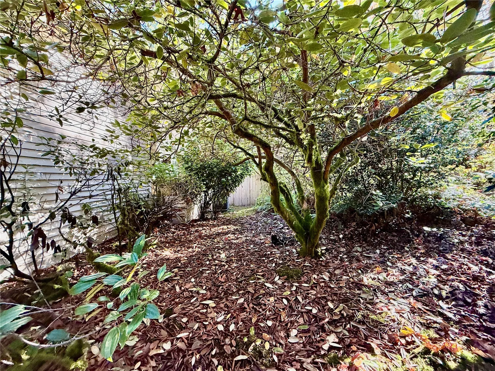 17514 164th Avenue NE, Woodinville, WA 98072
