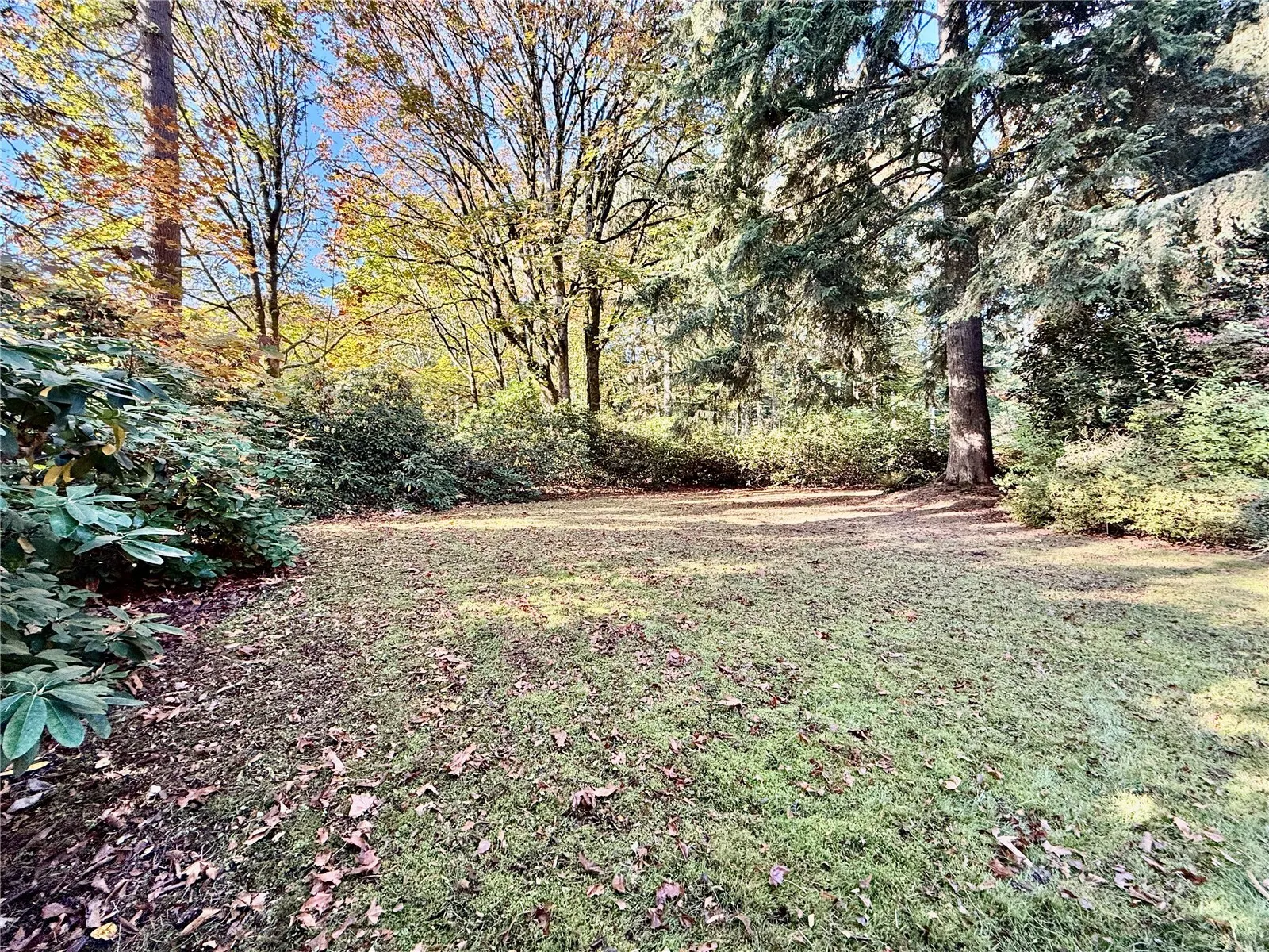 17514 164th Avenue NE, Woodinville, WA 98072