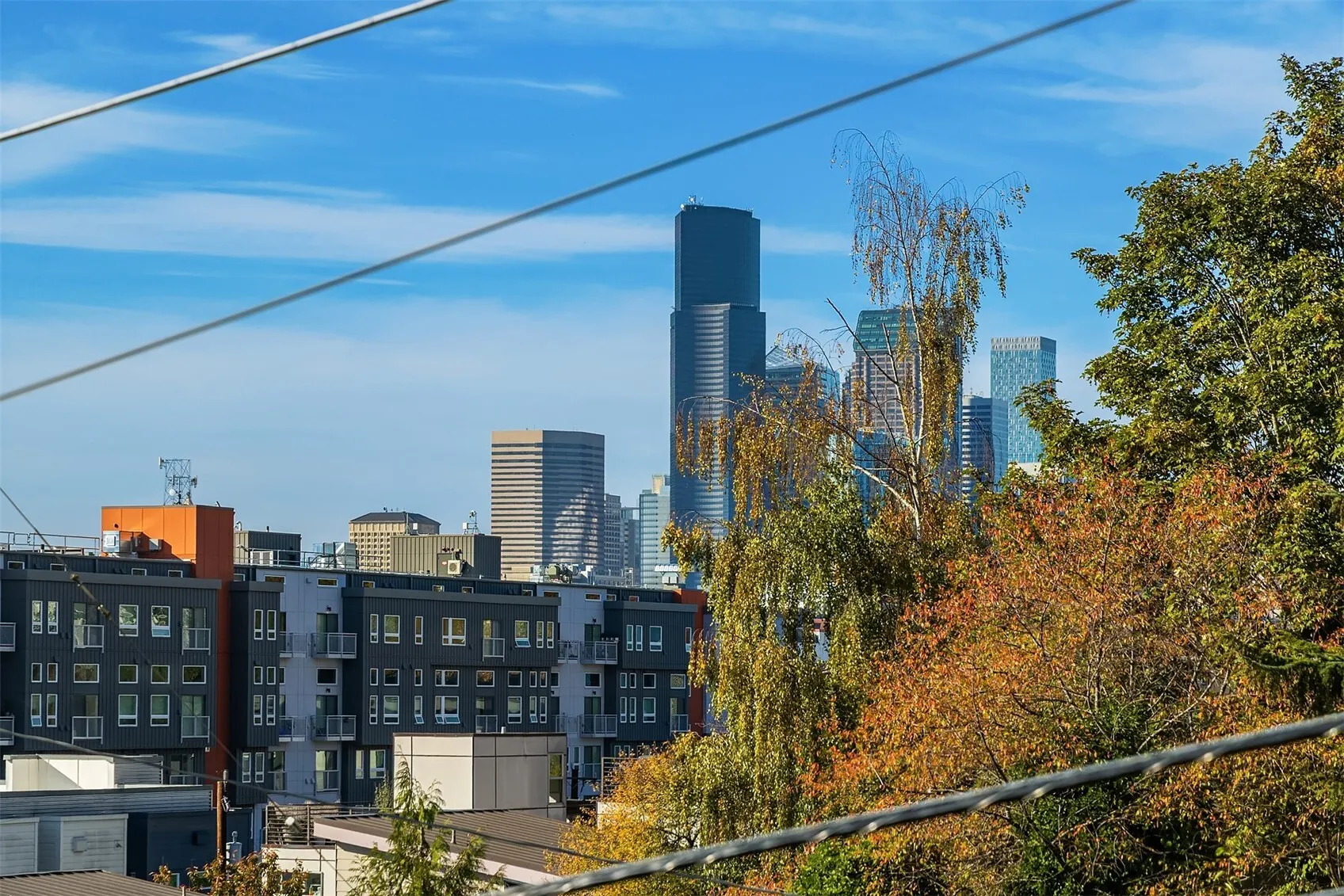 1813 S Bush Place #B, Seattle, WA 98144