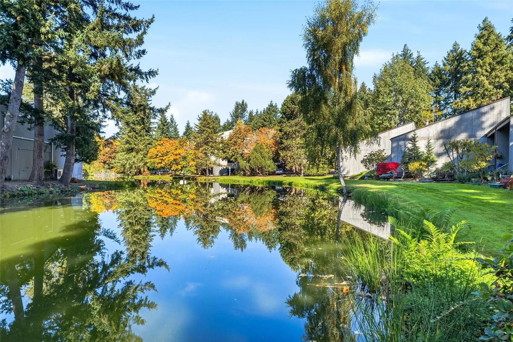 6234 138th Avenue NE #205, Redmond, WA 98052