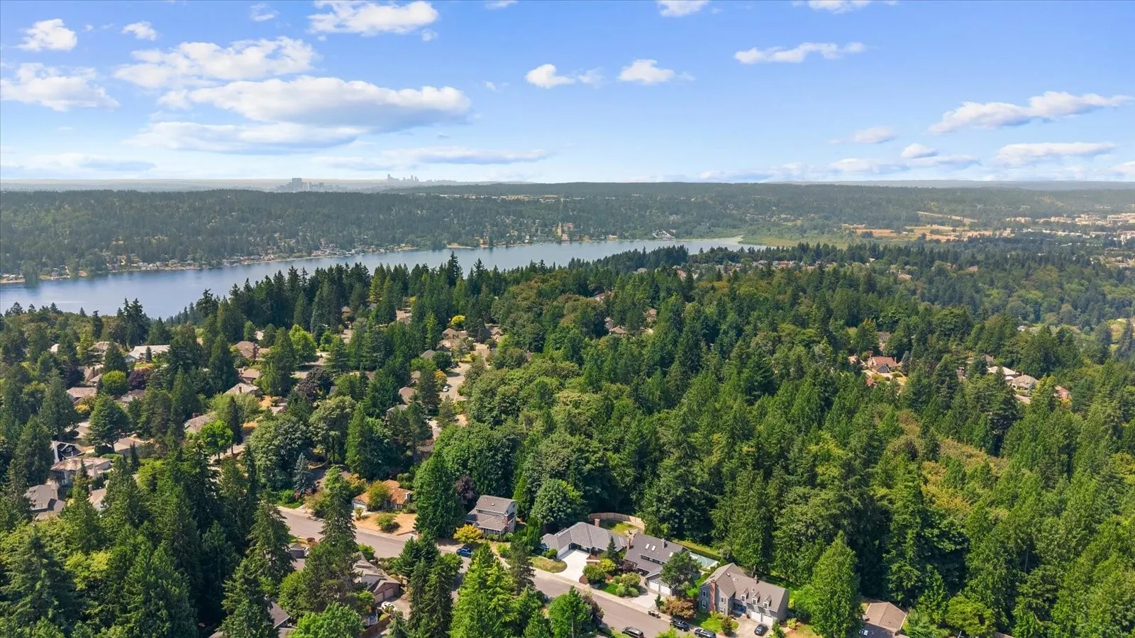 4103 204th Avenue NE, Sammamish, WA 98074