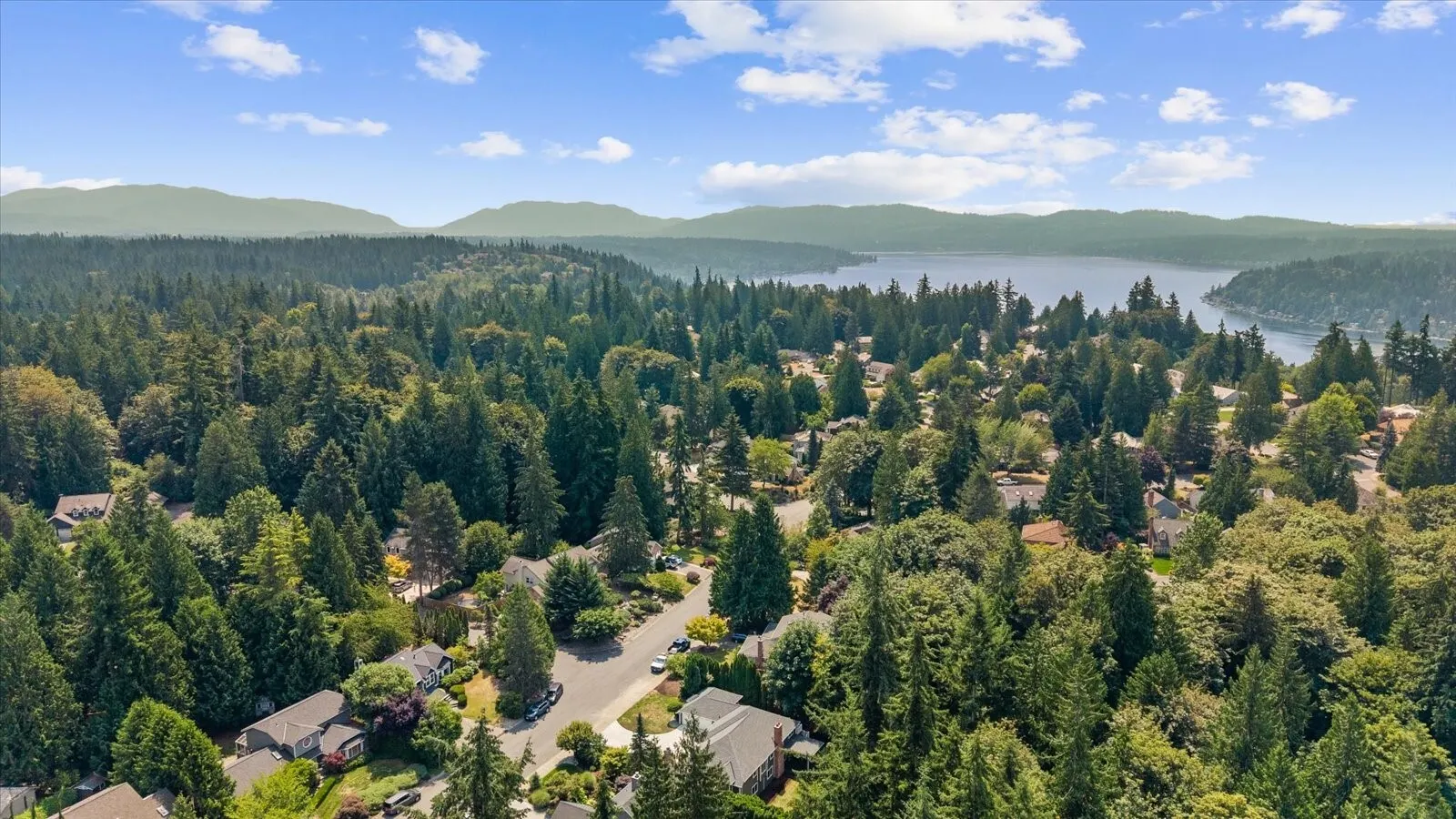 4103 204th Avenue NE, Sammamish, WA 98074