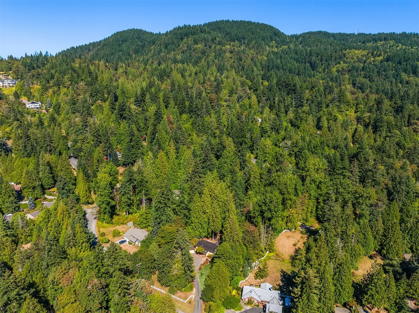12034 206th Place SE, Issaquah, WA 98027
