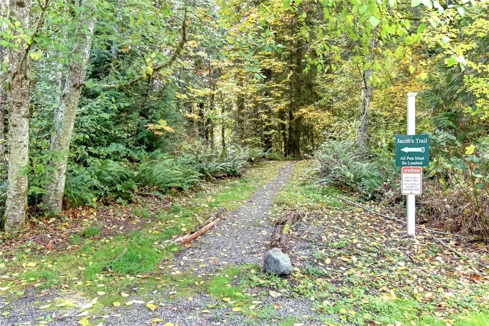 22772 SE 43rd Lane , Issaquah, WA 98029