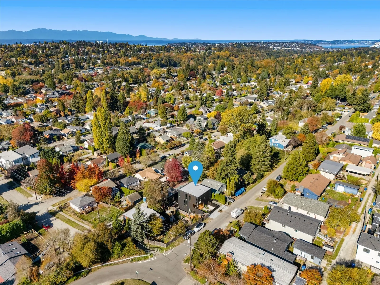8147 14th Avenue SW, Seattle, WA 98106