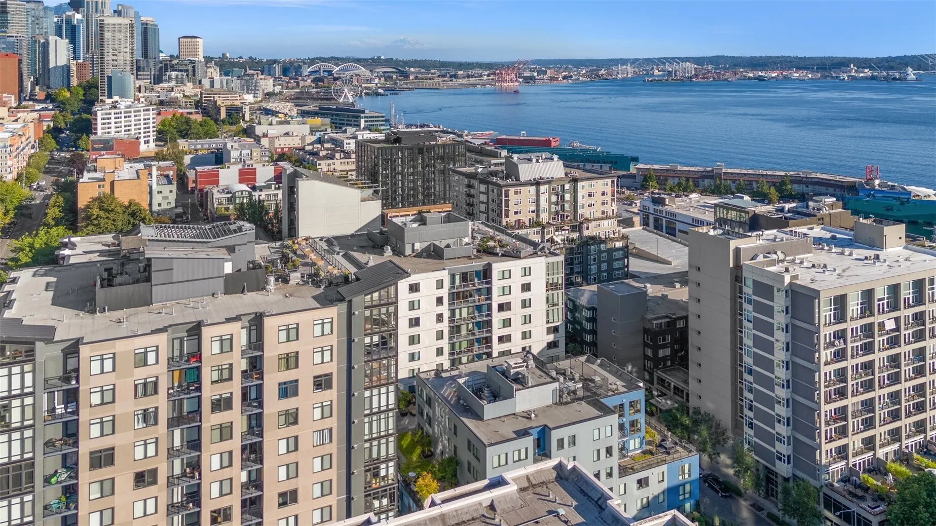 76 Cedar Street #805, Seattle, WA 98121