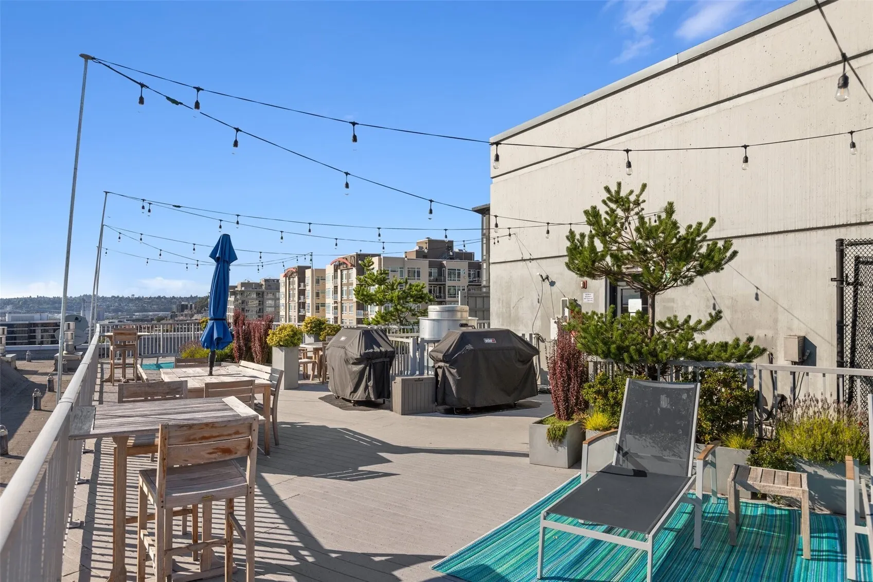 76 Cedar Street #805, Seattle, WA 98121