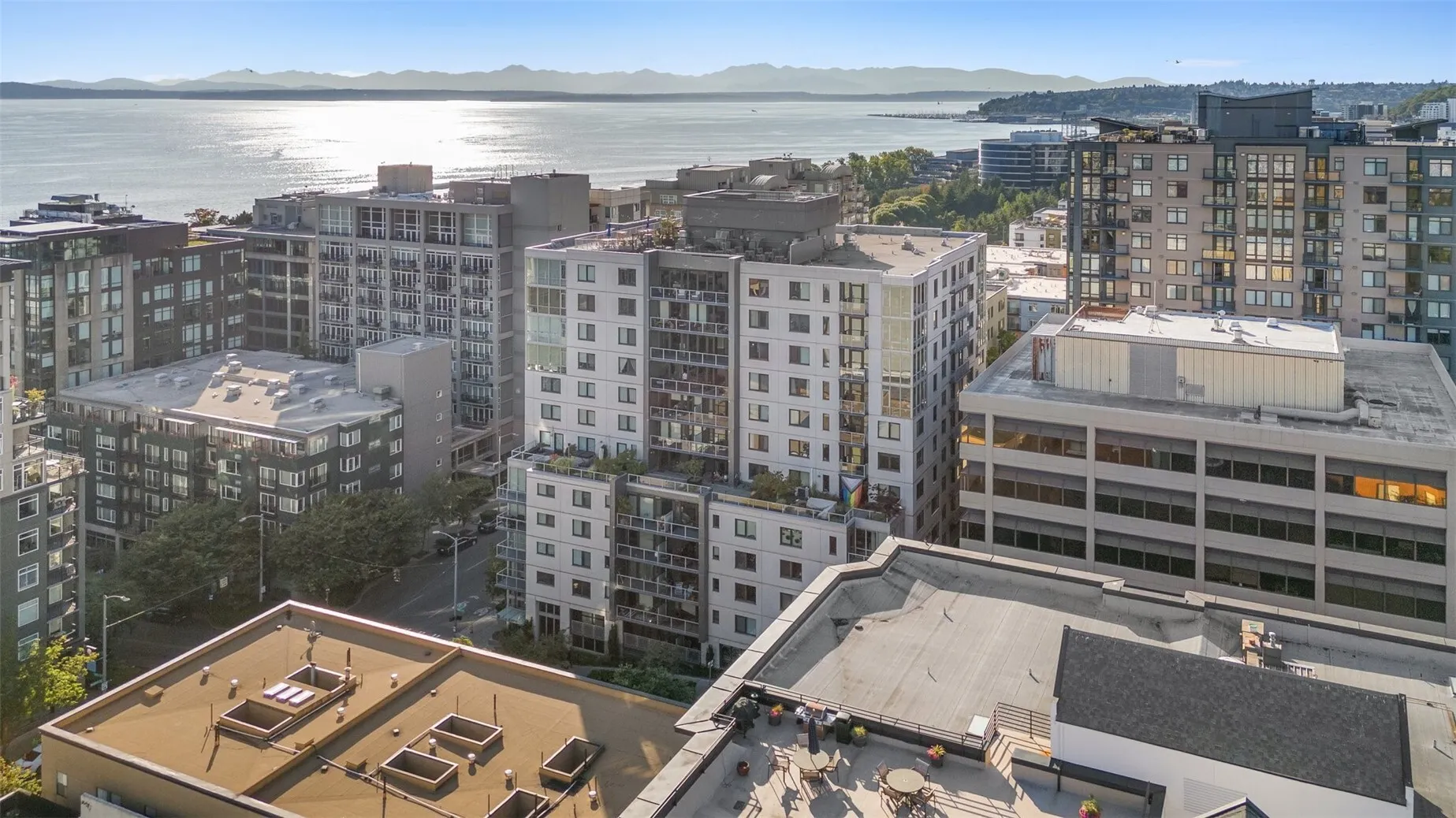76 Cedar Street #805, Seattle, WA 98121