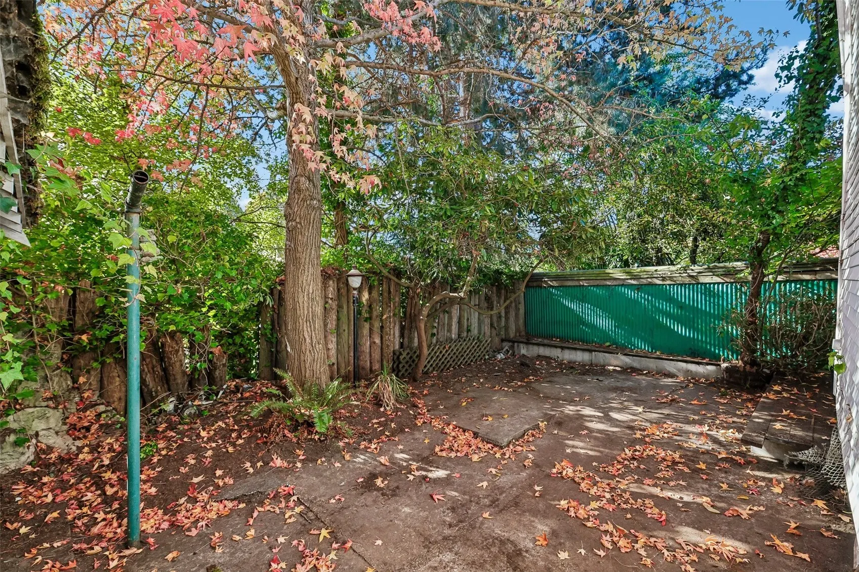 3209 NW 57th Street , Seattle, WA 98107