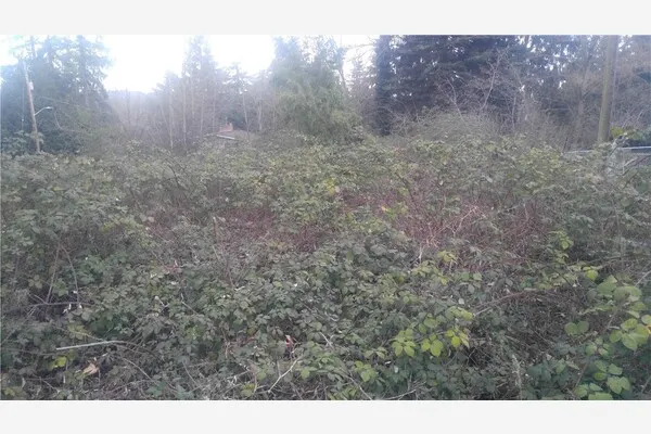 12810 34th Avenue S, Tukwila, WA 98168