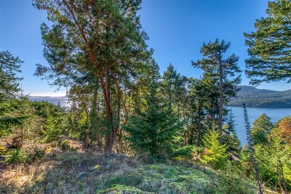 980 Palisades Drive , Orcas Island, WA 98245