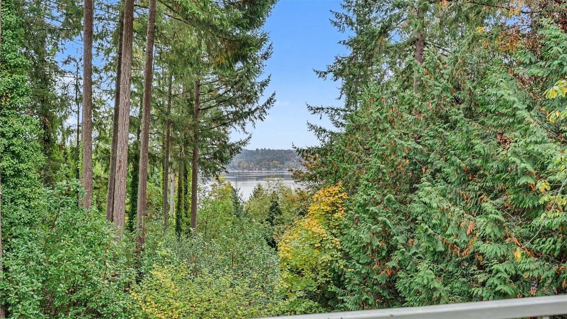 1121 W Lake Sammamish Parkway SE, Bellevue, WA 98008
