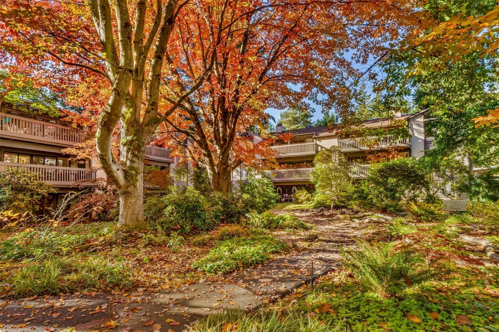 1508 NE 140th Street #B3, Seattle, WA 98125