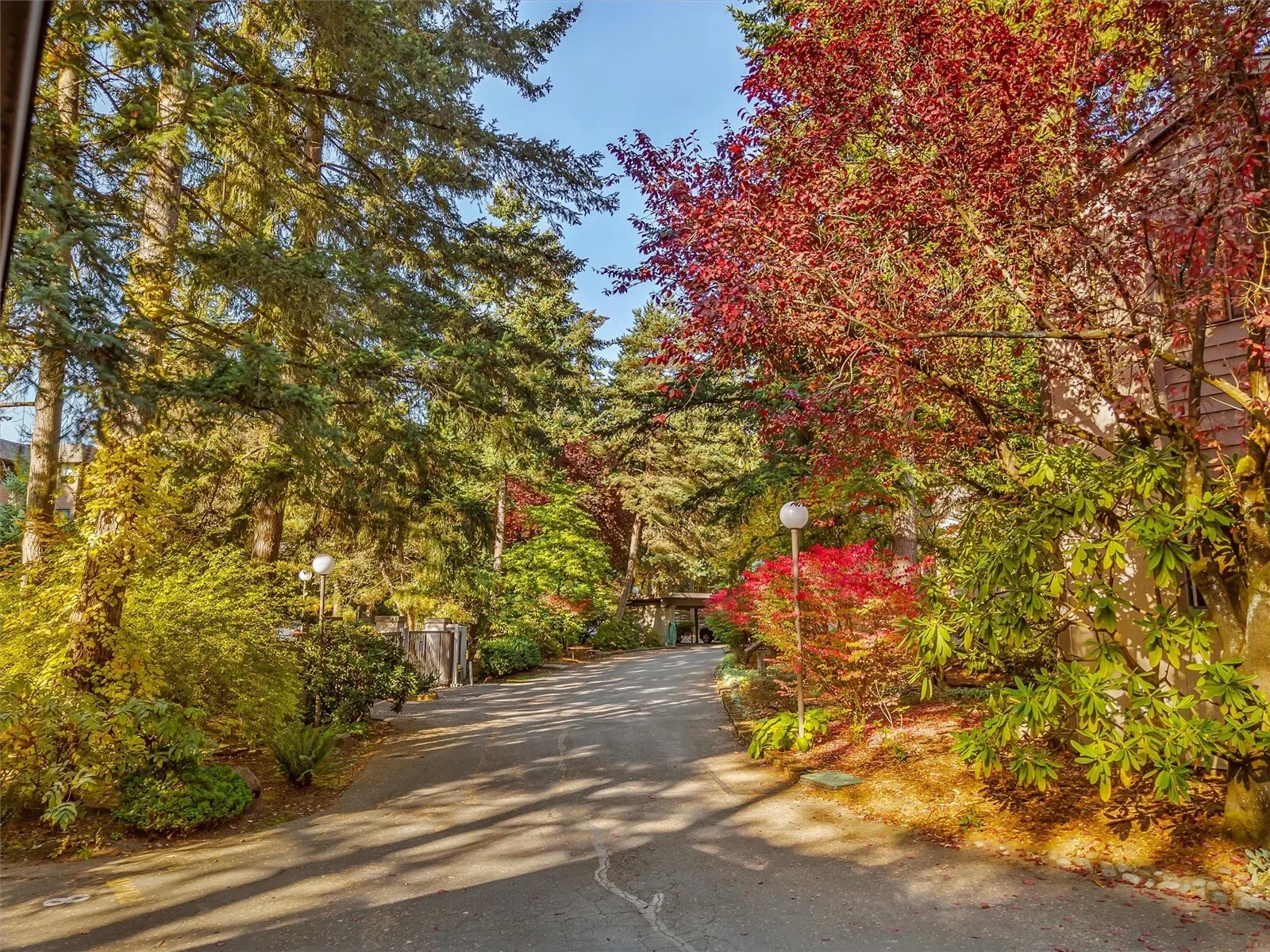 1508 NE 140th Street #B3, Seattle, WA 98125