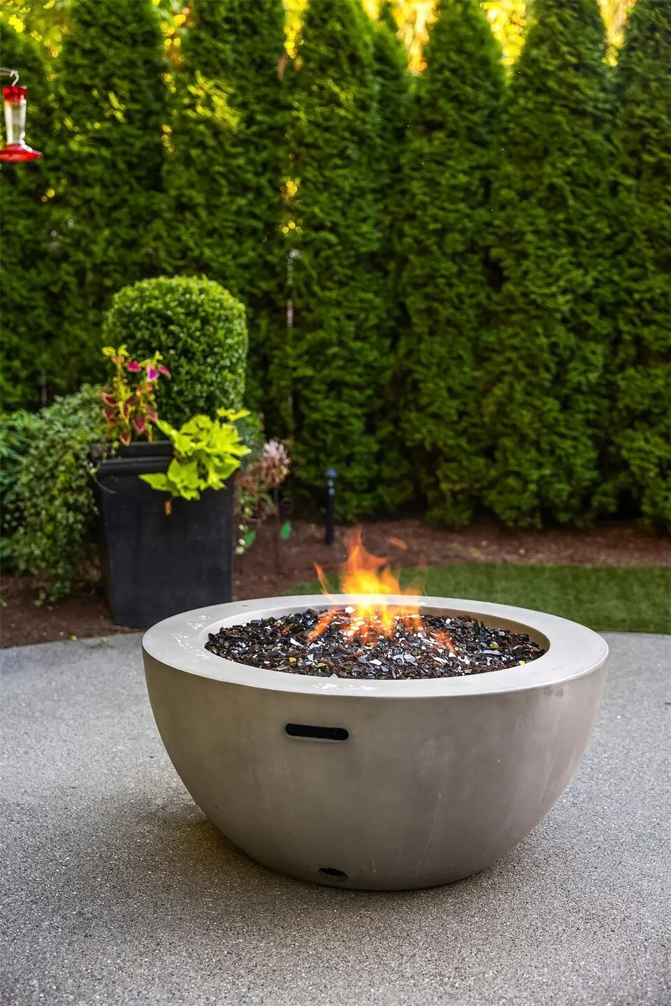 1703 NE Falls Drive , Issaquah, WA 98029-9802