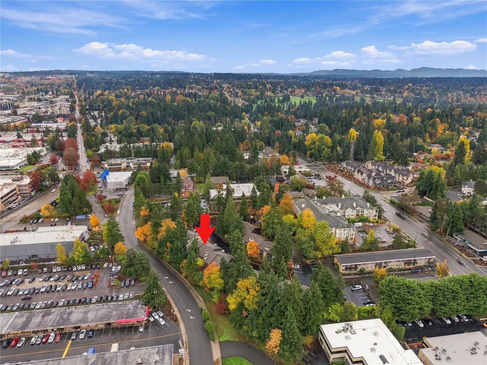12111 NE Bellevue Redmond Road #C306, Bellevue, WA 98005