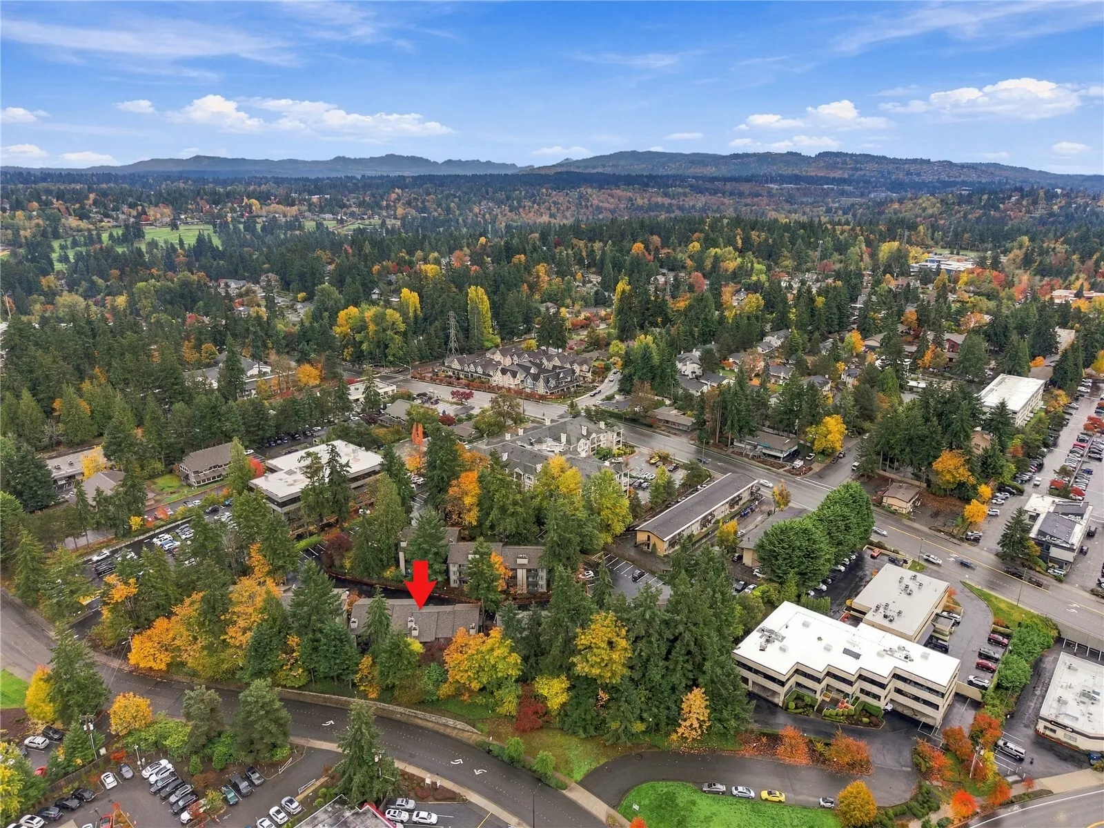12111 NE Bellevue Redmond Road #C306, Bellevue, WA 98005