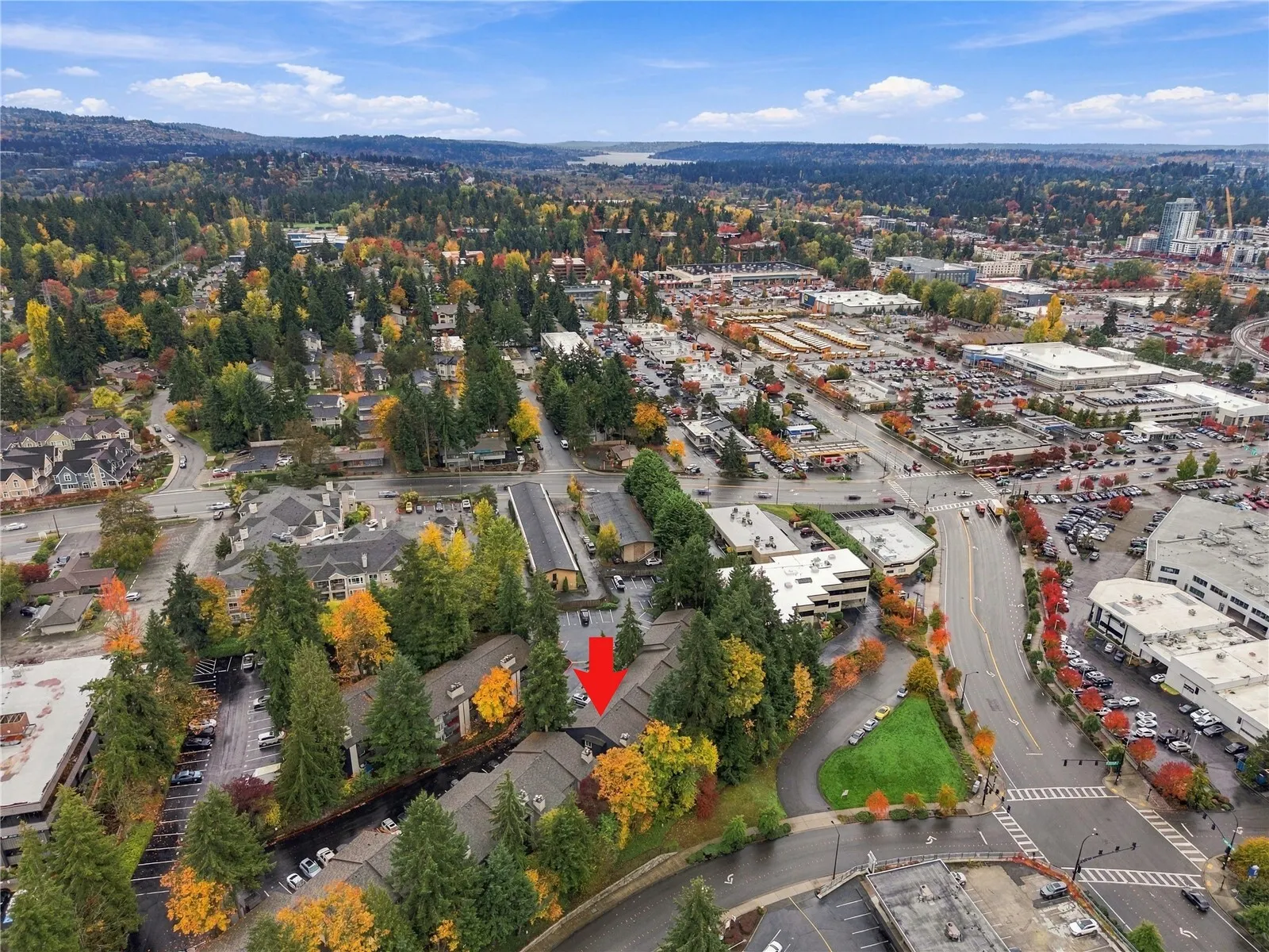 12111 NE Bellevue Redmond Road #C306, Bellevue, WA 98005