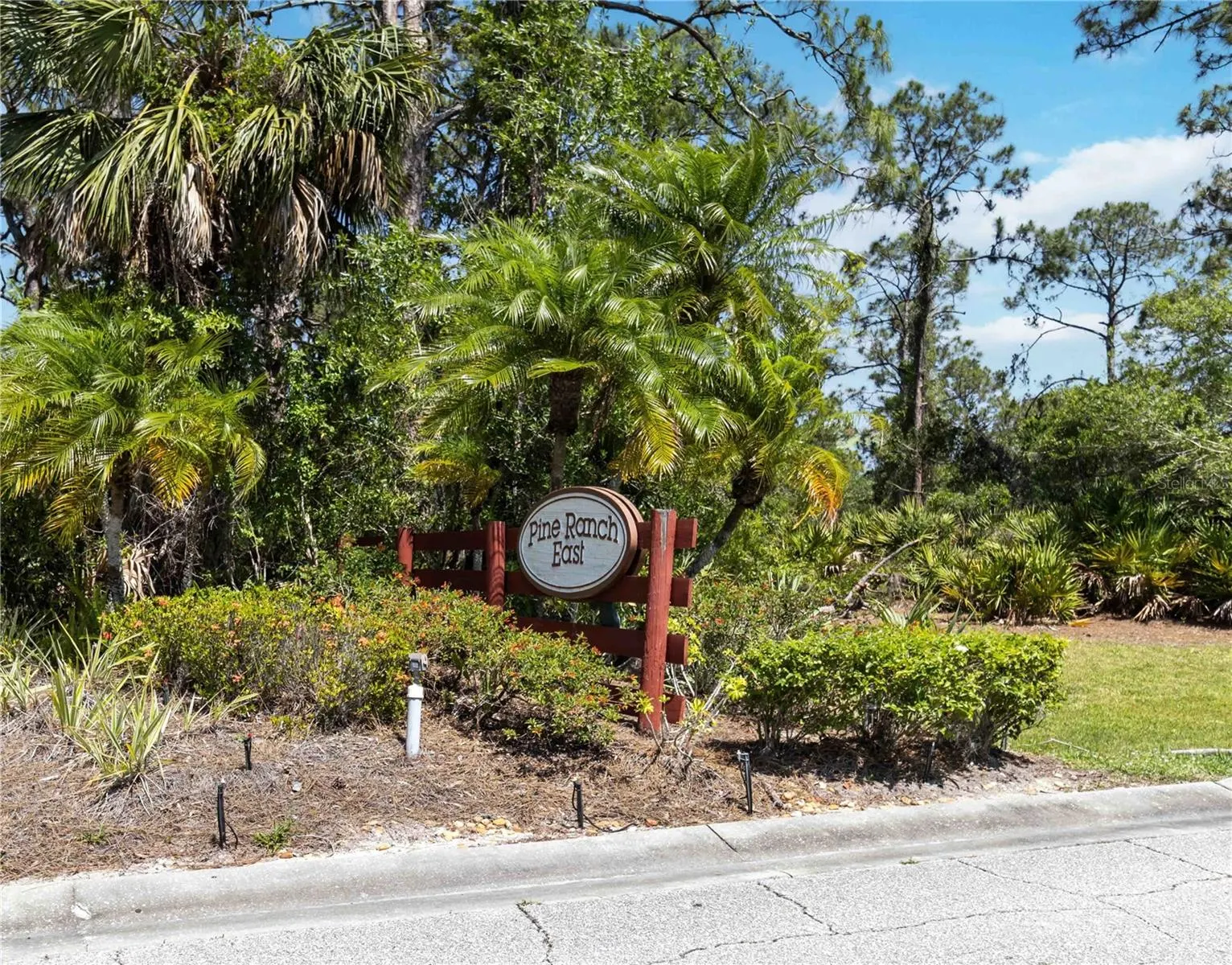 296 PINE RANCH TRL