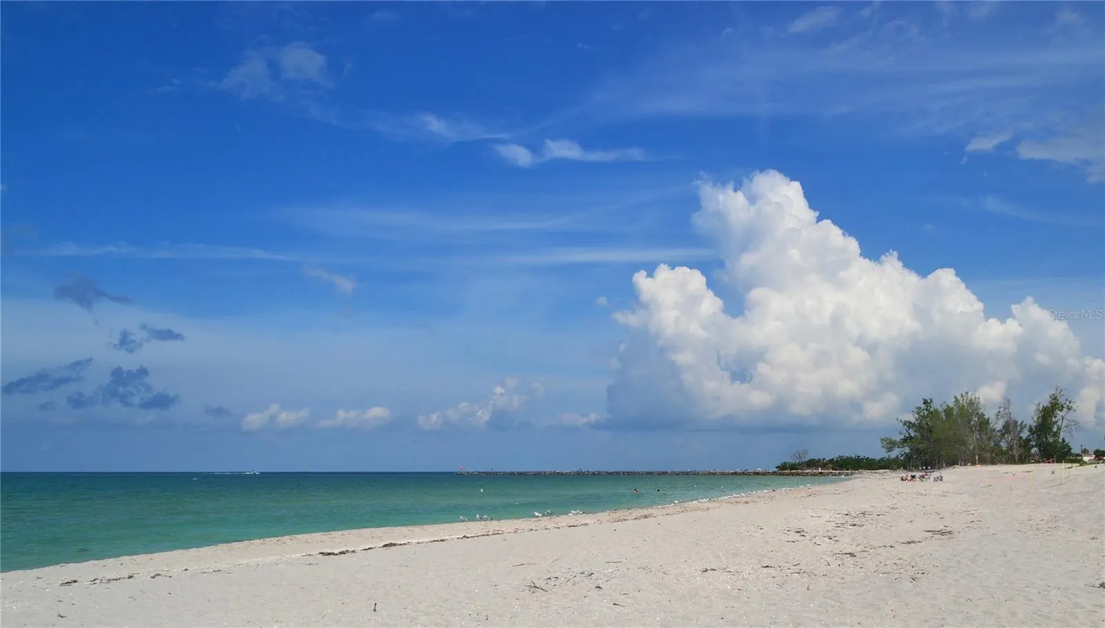 1275 TARPON CENTER DR #107, #107