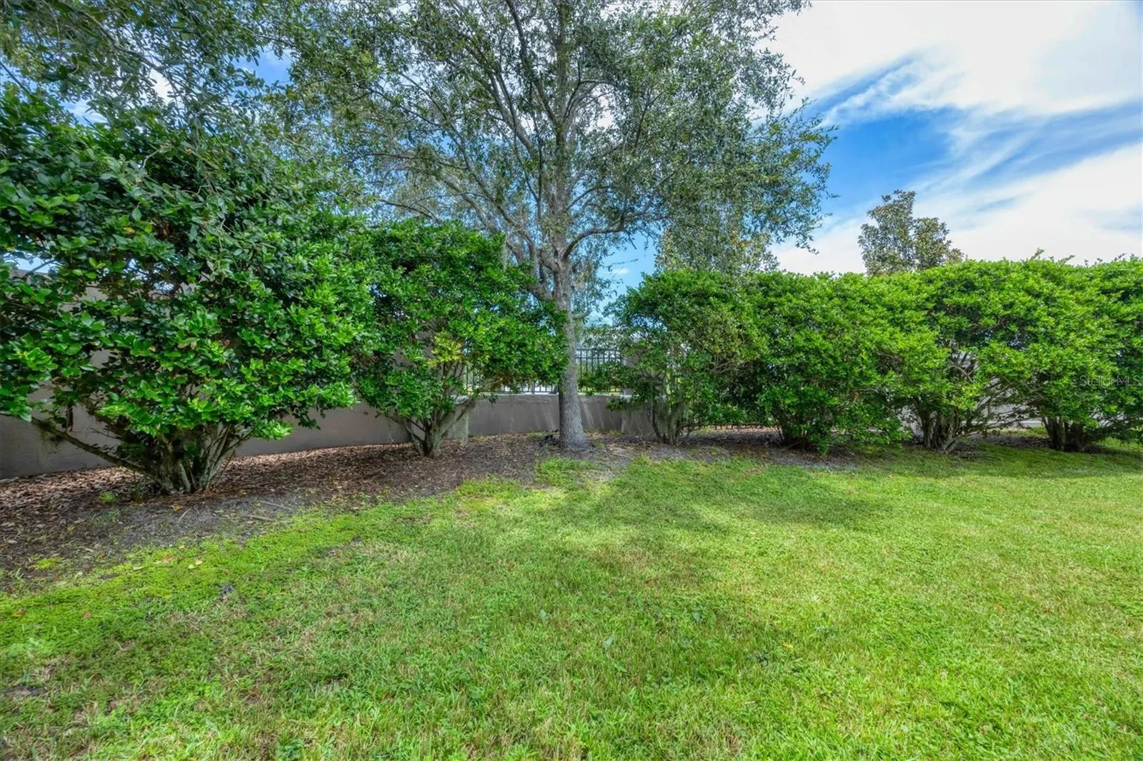 6964 WHITE WILLOW CT