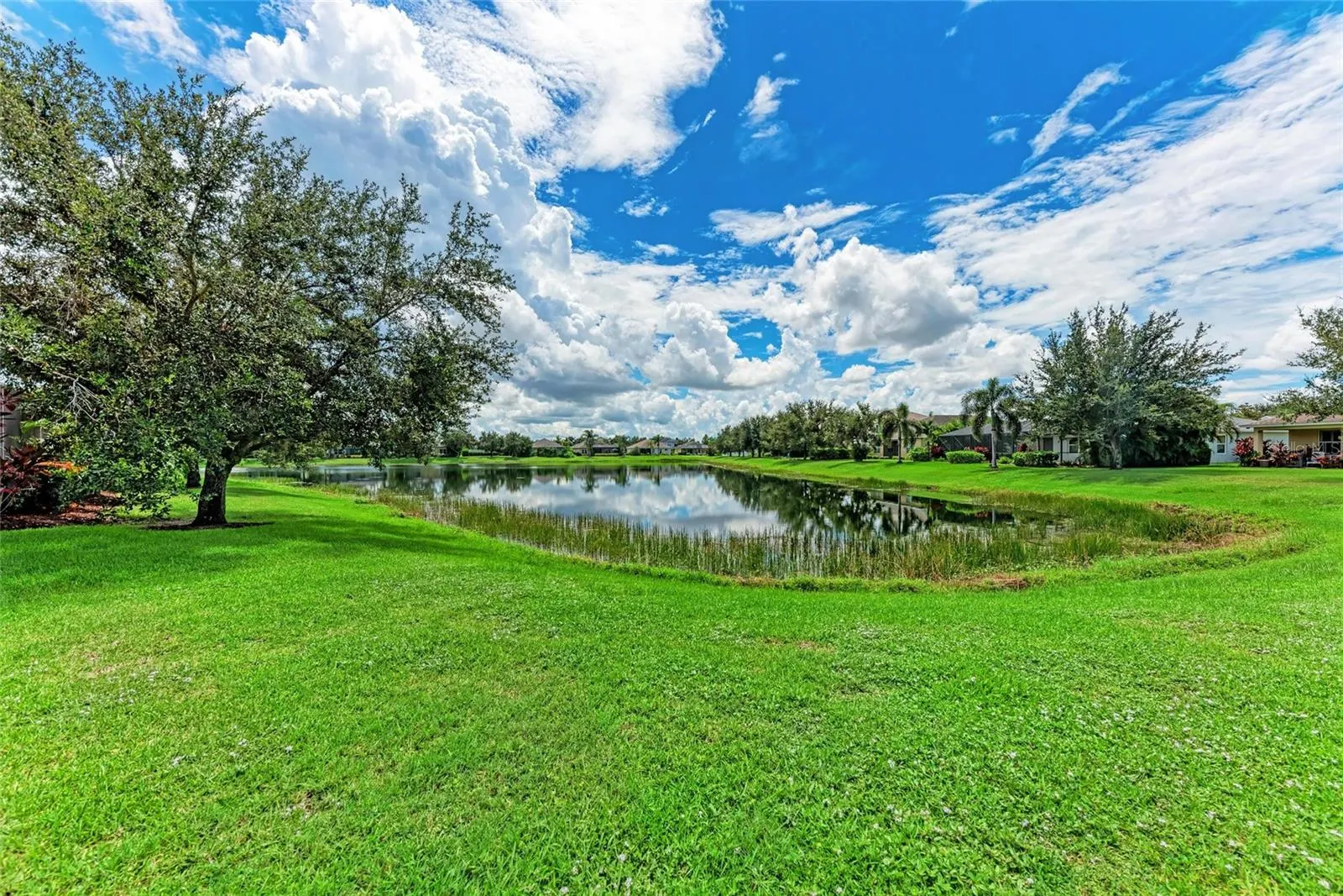 12051 FOREST PARK CIR