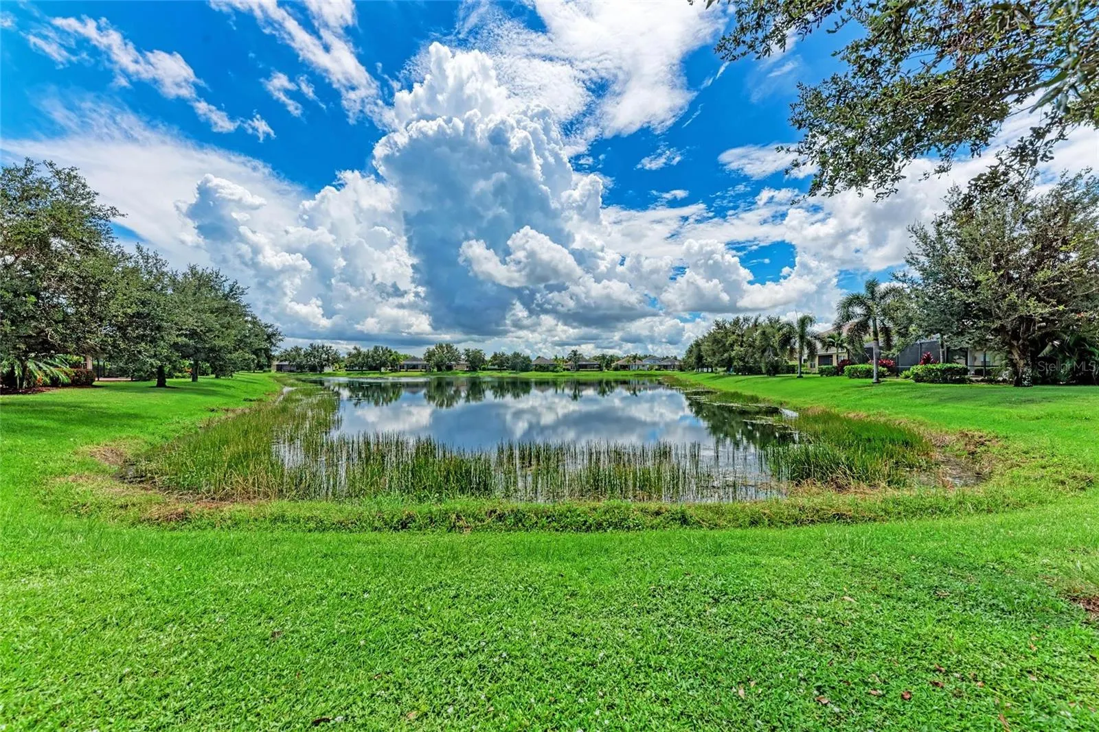 12051 FOREST PARK CIR