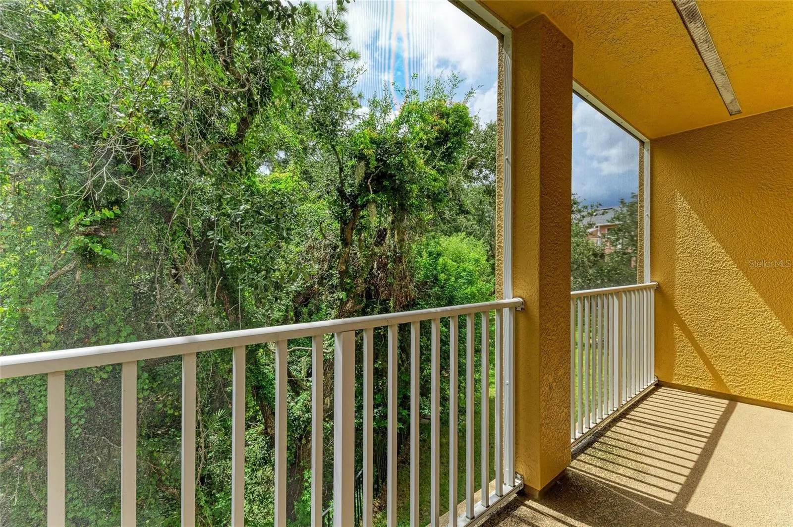 8848 WHITE SAGE LOOP