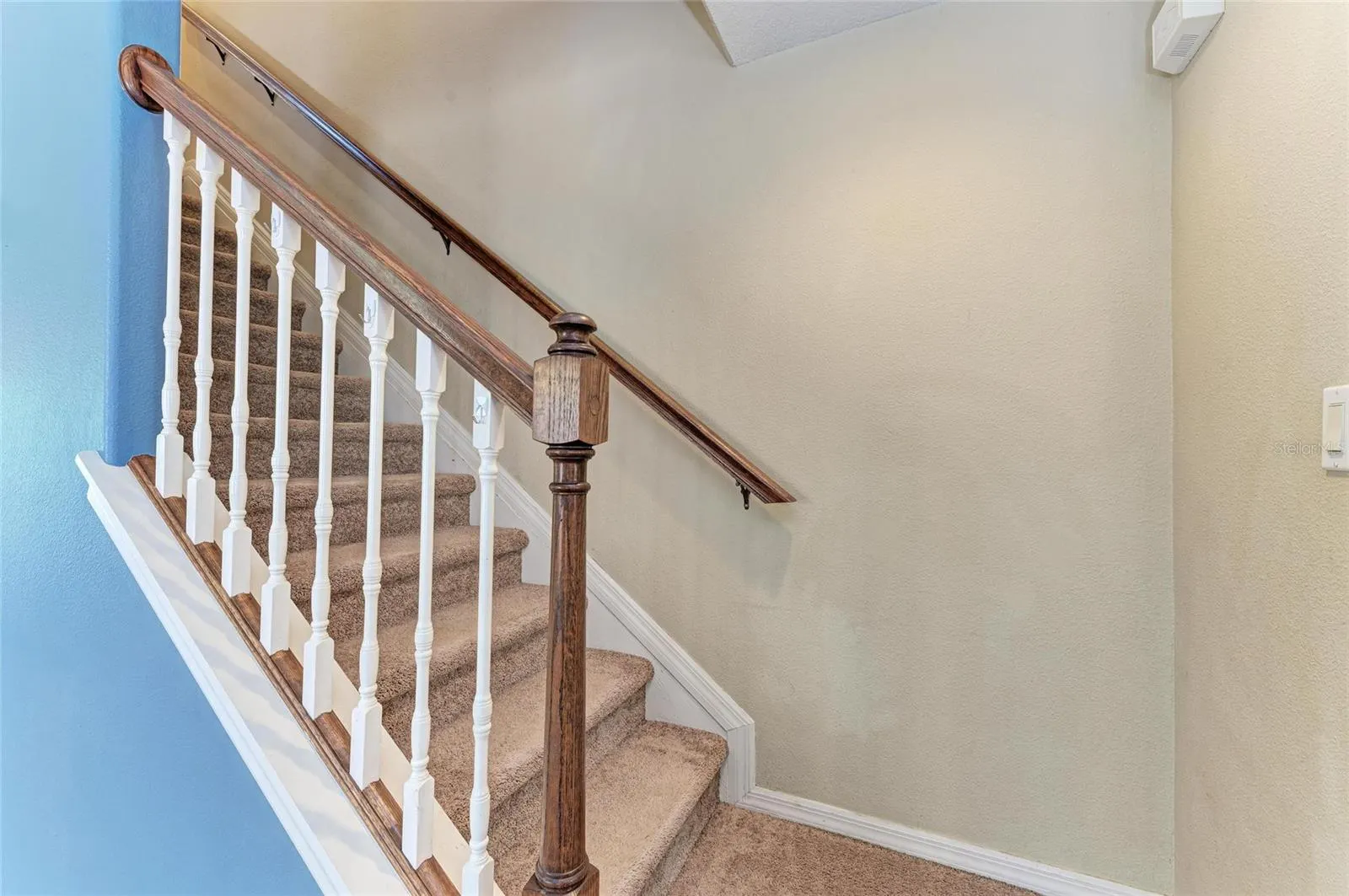 8848 WHITE SAGE LOOP