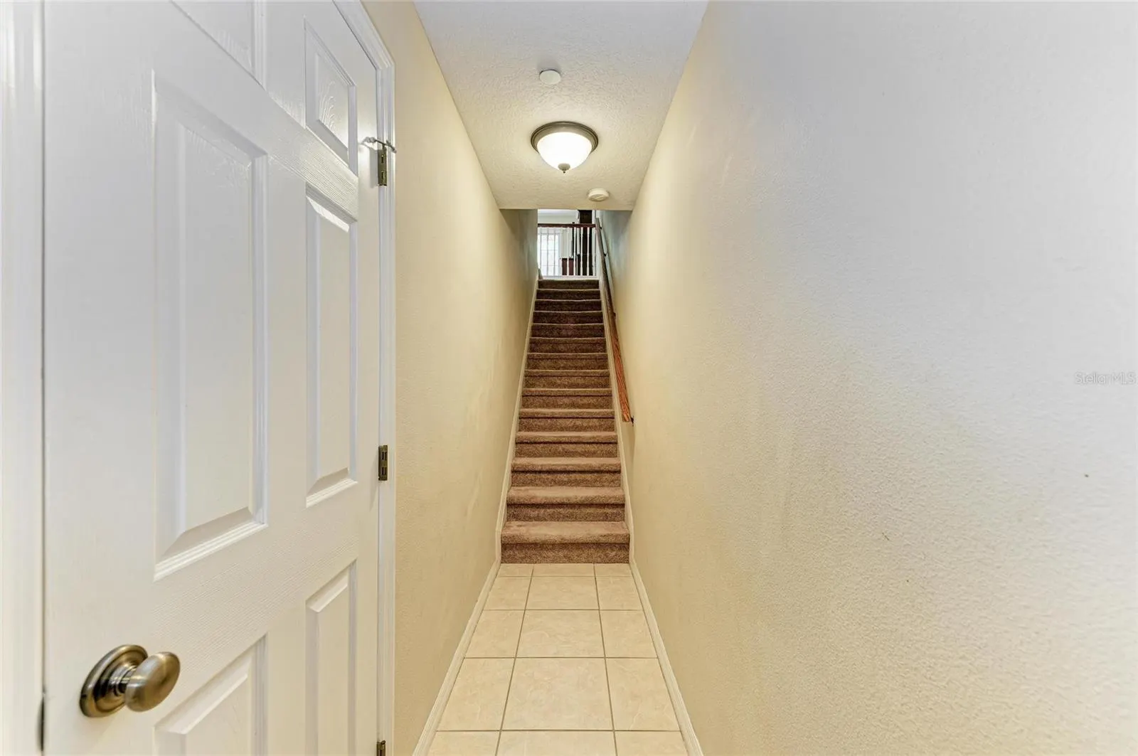 8848 WHITE SAGE LOOP
