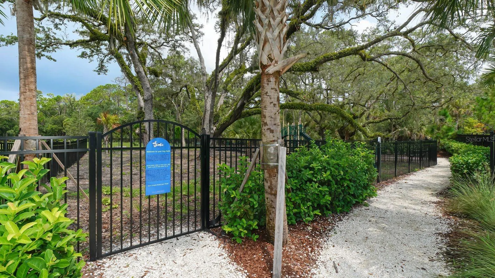 6631 CALYPSO CORAL LN
