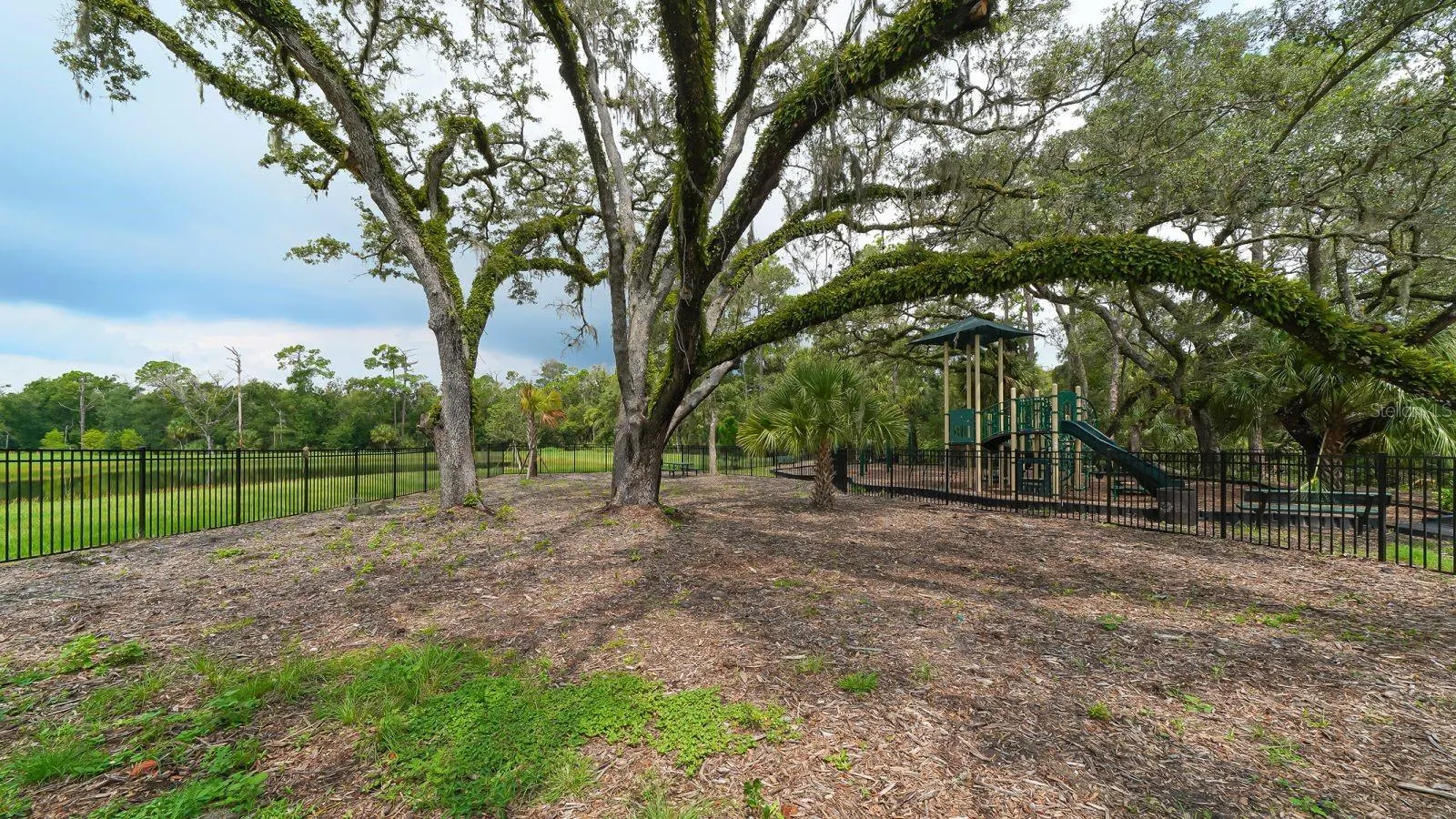 6631 CALYPSO CORAL LN