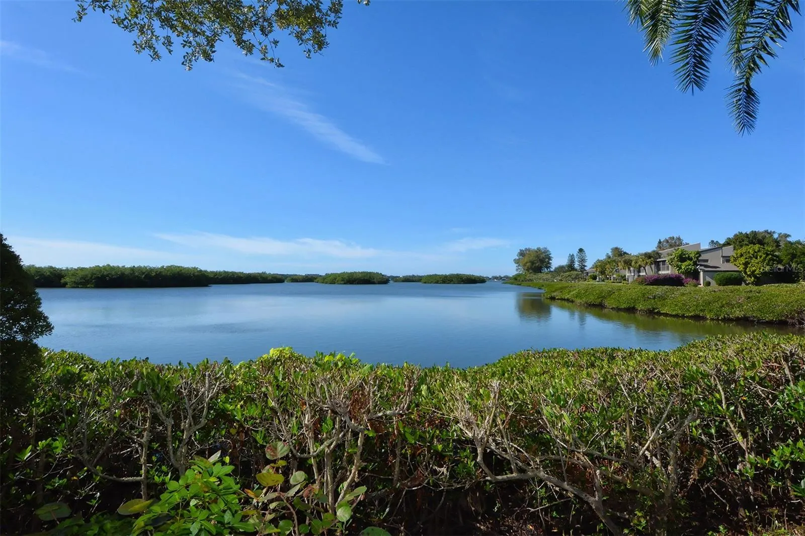 1608 BAYHOUSE POINT DR #401, #401