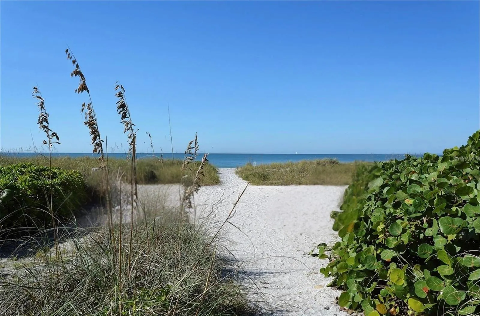 5260 GULF OF MEXICO DR #401, #401