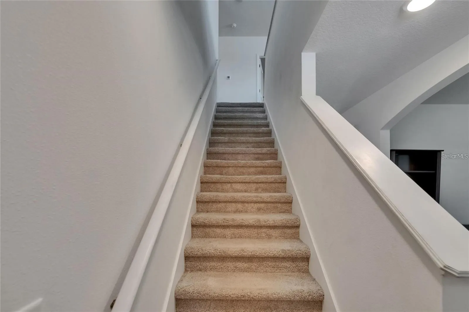 14153 ARBOR PINES DR