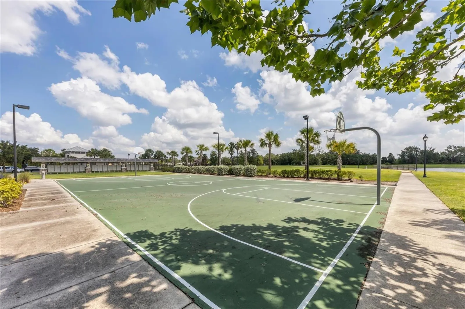 12623 WHEATGRASS CT
