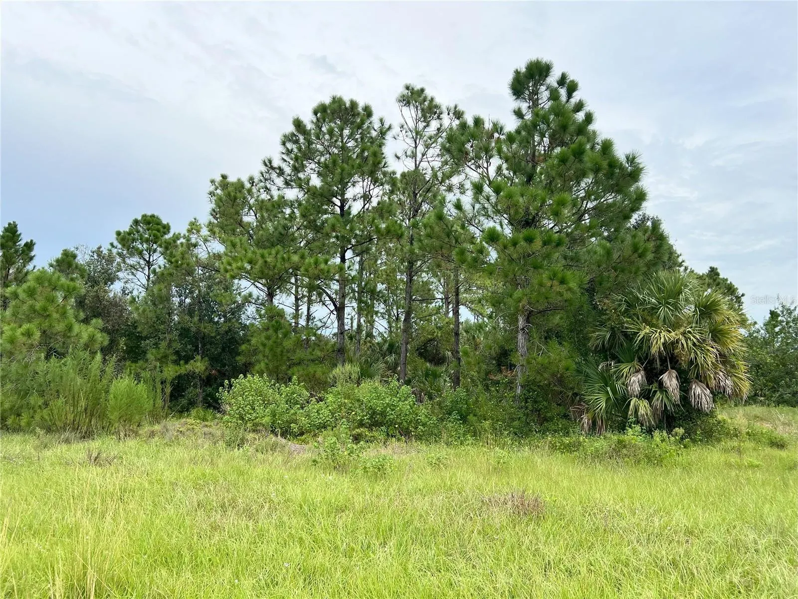 BLACKWOOD CIR