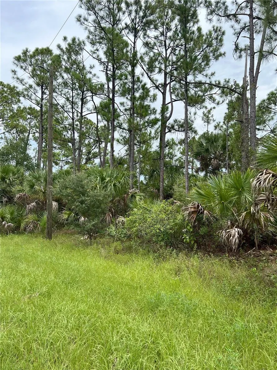 BLACKWOOD CIR