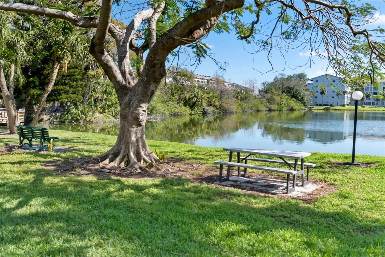 3653 LAKE BAYSHORE DR #503, #503