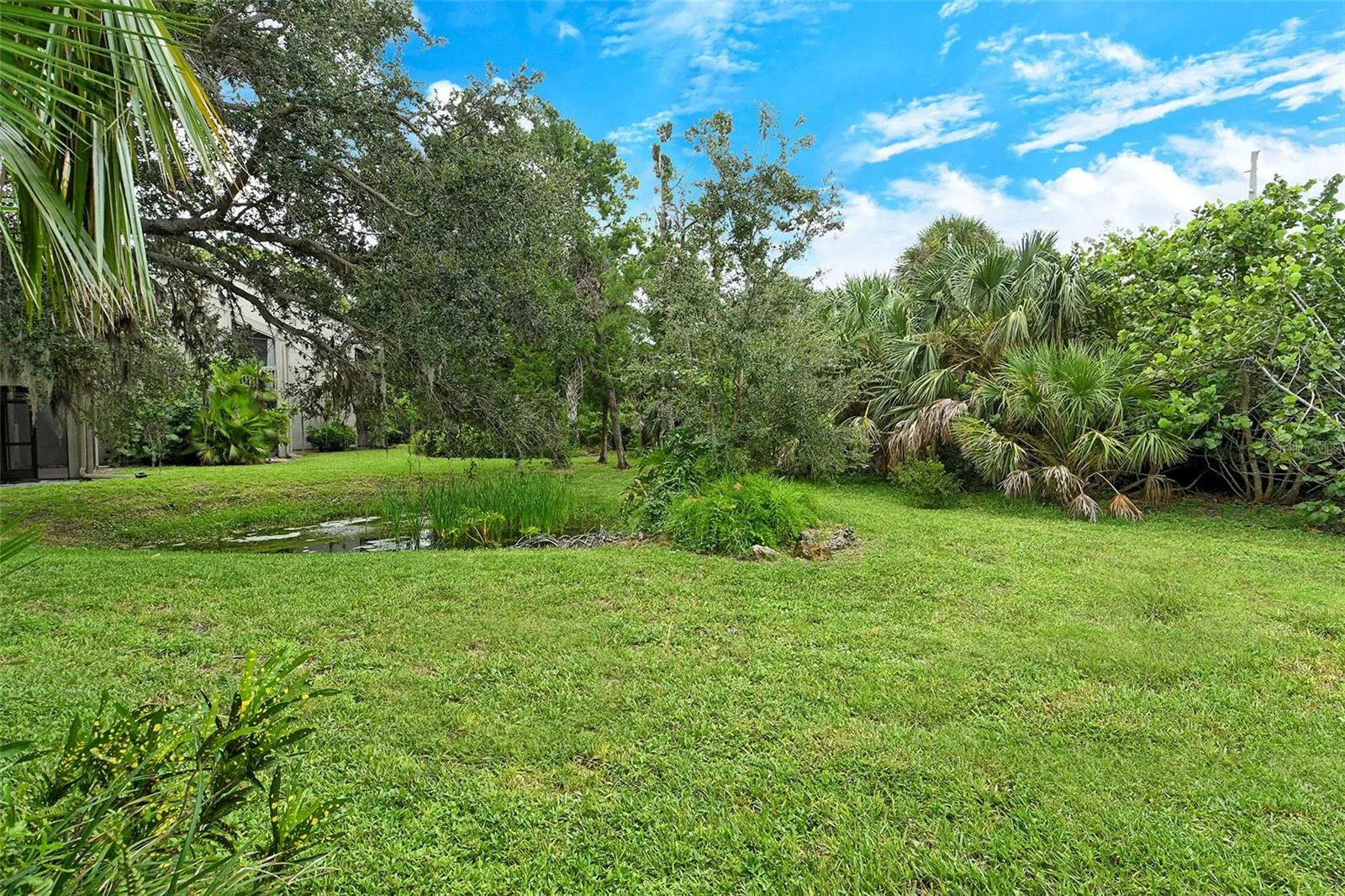111 WOODLAND PL