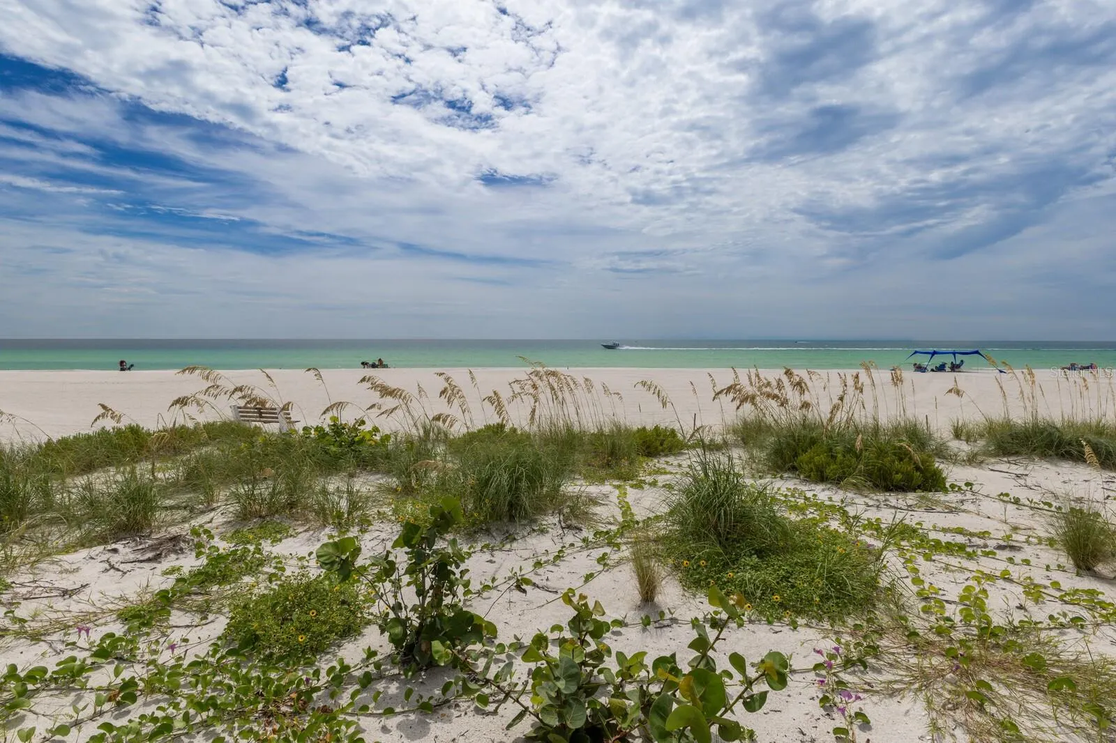 5300 GULF DR #508, #508