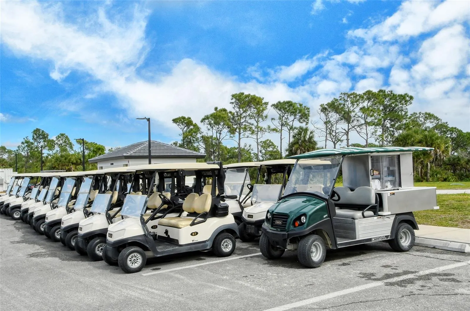 12140 WELLEN GOLF ST #301, #301