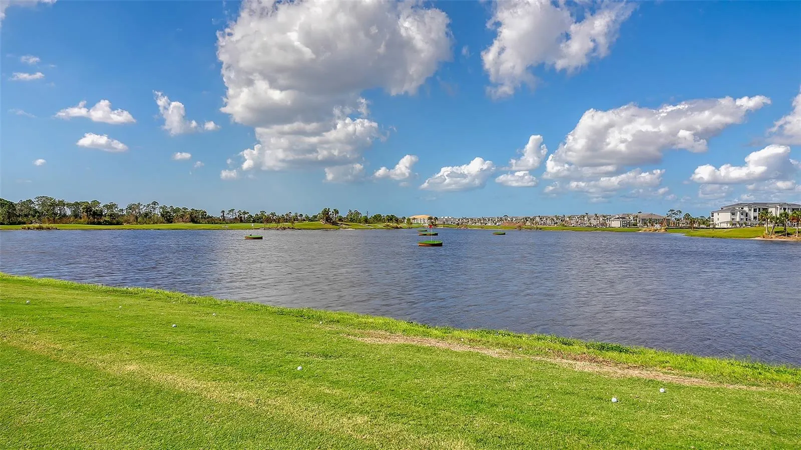 12140 WELLEN GOLF ST #301, #301
