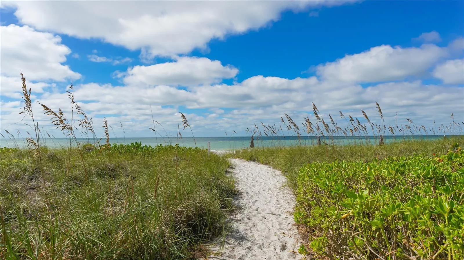 4760 GULF OF MEXICO DR. VILLA 7