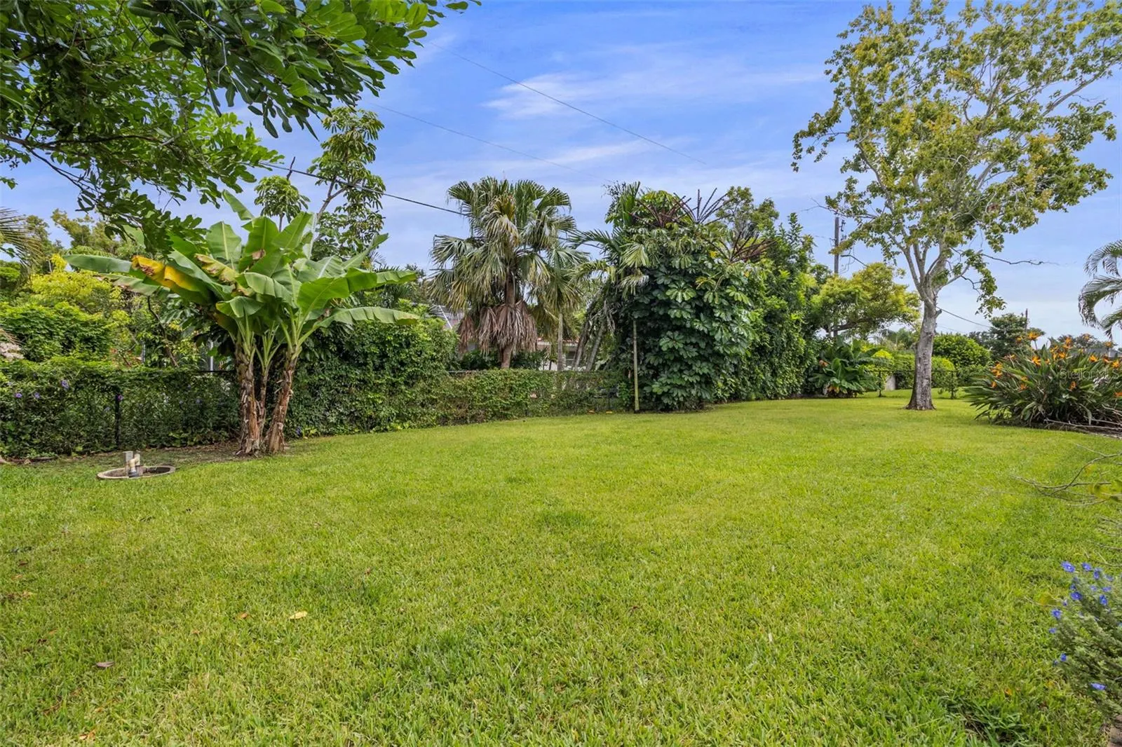 305 ANGELICO DR