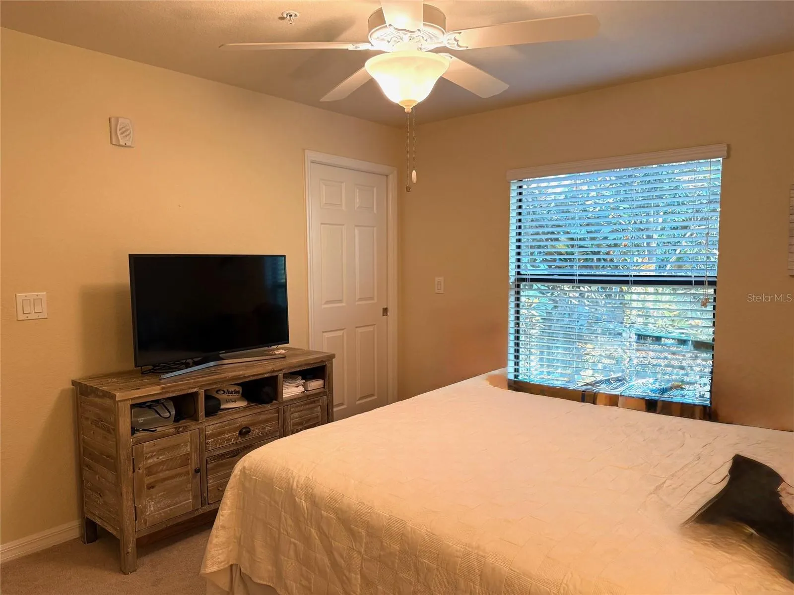 5528 PALMER CIR #206, #206