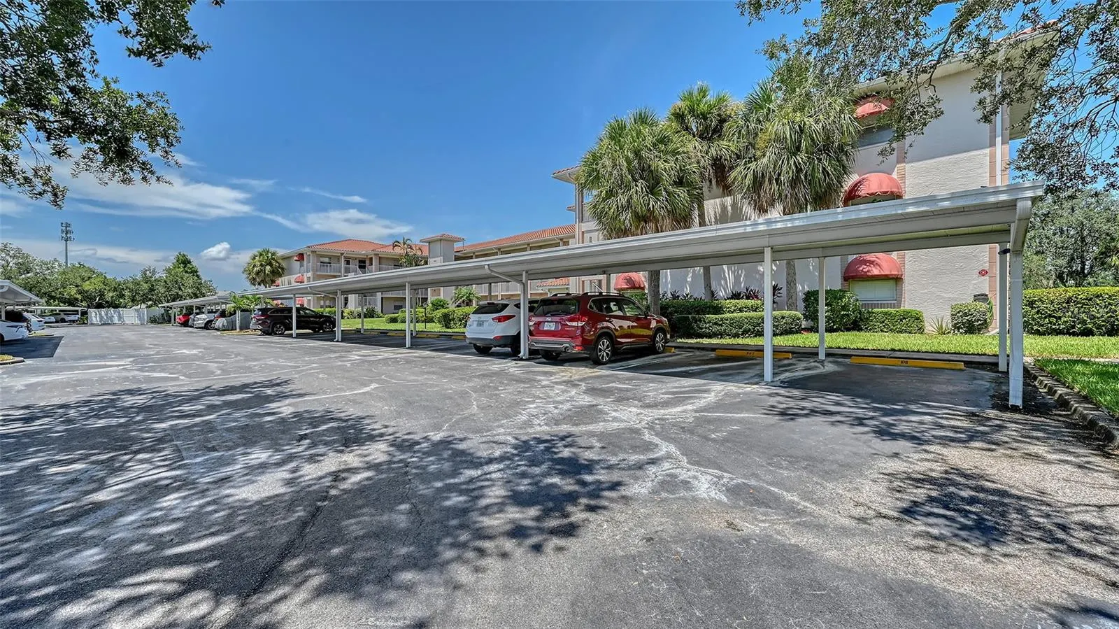 6505 STONE RIVER RD #209, #209