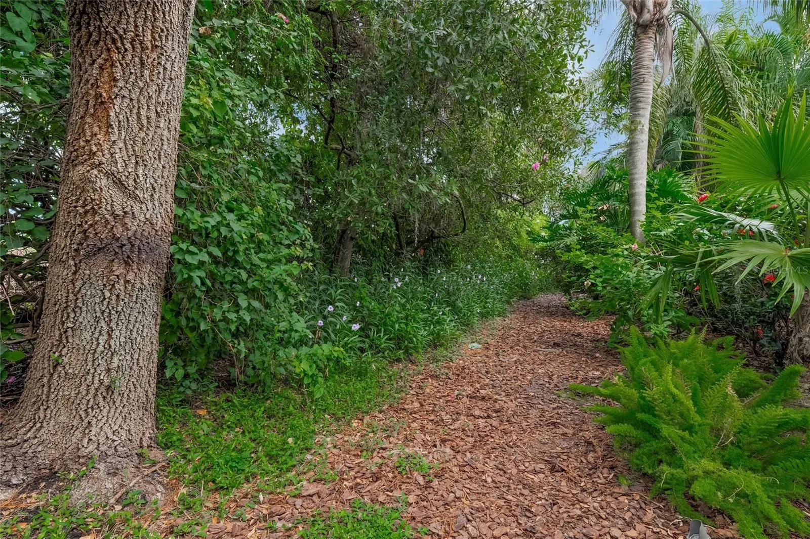 3711 EAGLE HAMMOCK DR